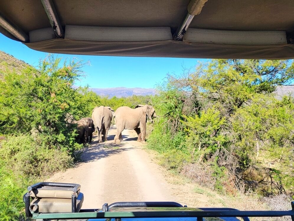 Illustration du voyage Afrique du Sud à moto