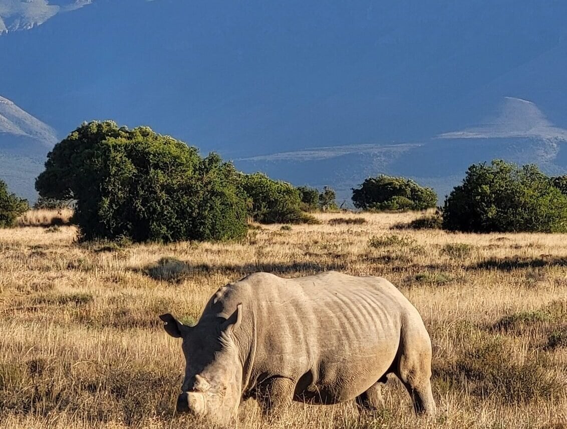 Illustration du voyage Afrique du Sud à moto