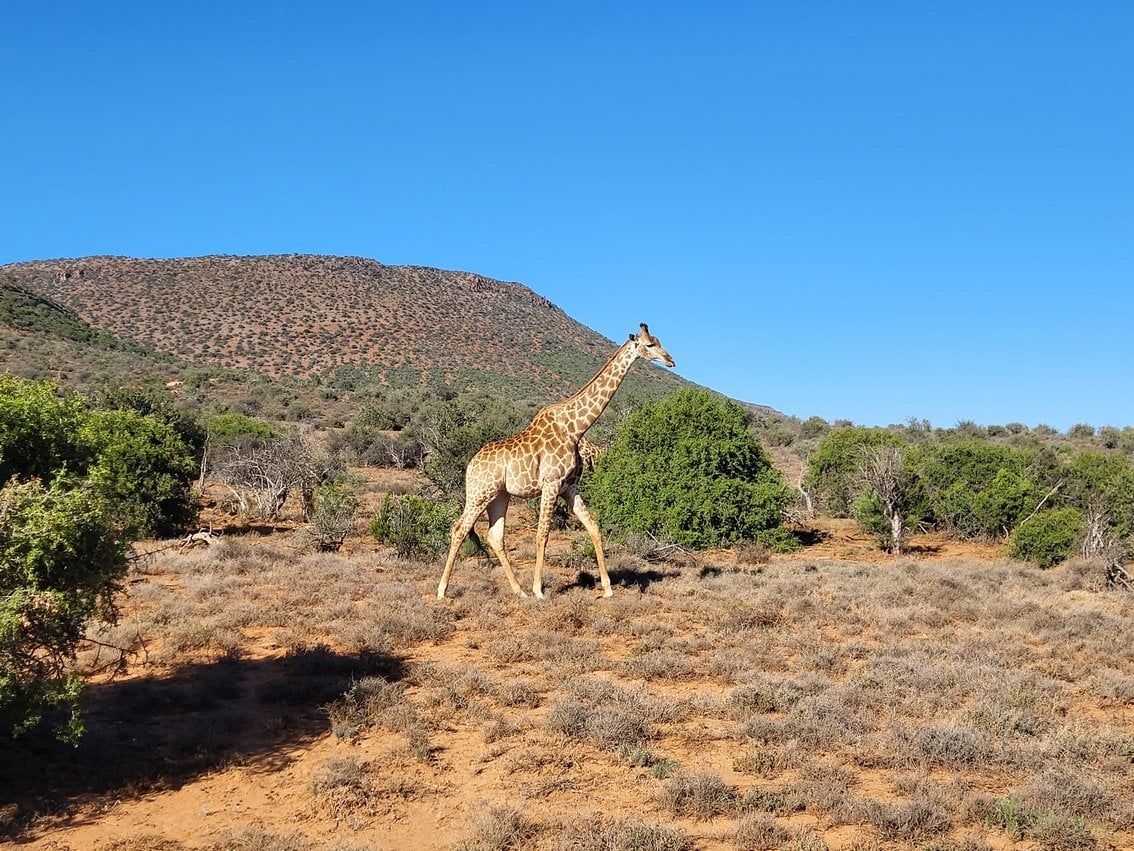 Illustration du voyage Afrique du Sud à moto
