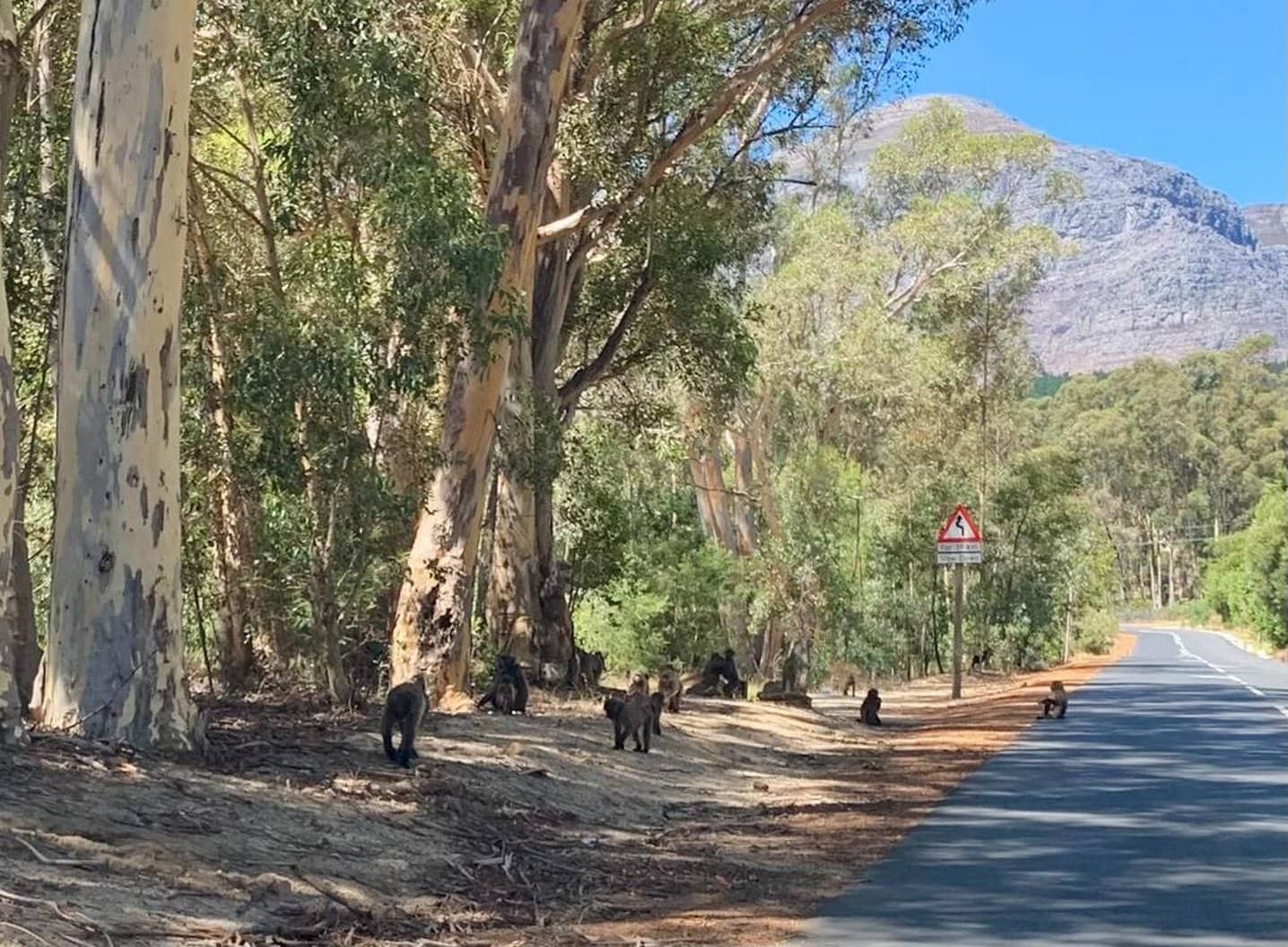 Illustration du voyage Afrique du Sud à moto