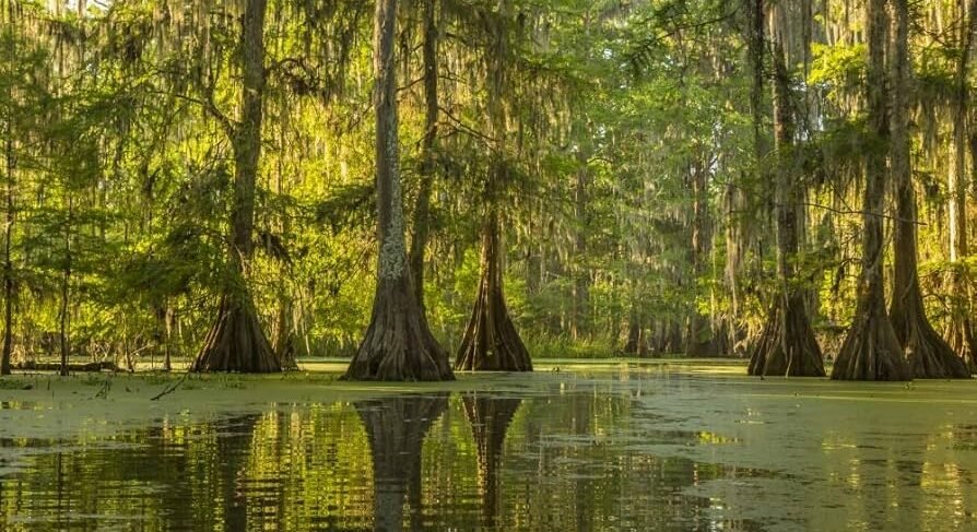 Illustration du voyage Route du Blues à moto